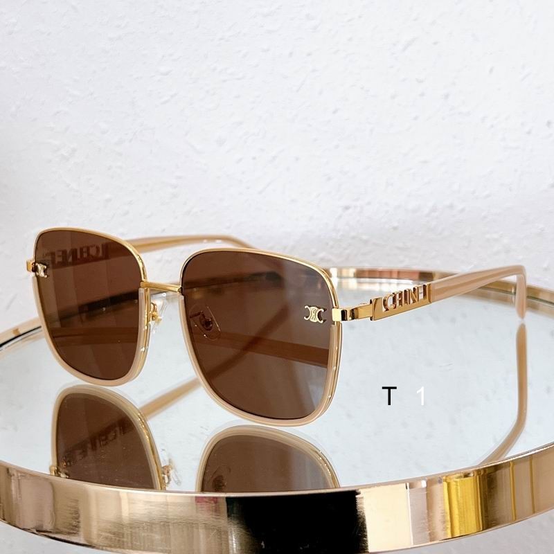 CELINE Sunglasses 172